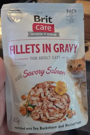Brit Care Cat Fillets in Gravy Savory Salmon, lososové filety v omáčce, kapsička, 85 g