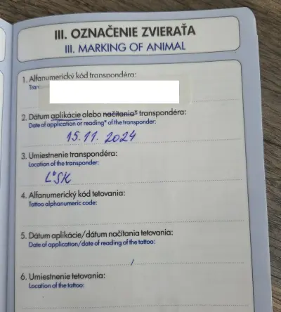 Registrace čipu: kde zapsat kočku a psa do registru